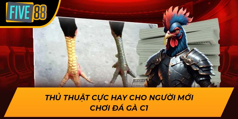 Trải Nghiệm Đá Gà C1 Đẳng Cấp Số 1 Cùng Nhà Cái Five88 2 Thủ thuật cực hay cho người mới chơi đá gà c1