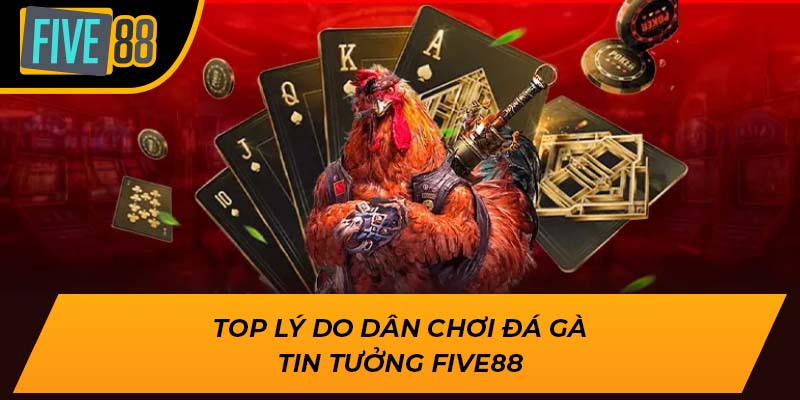 Trải Nghiệm Đá Gà Cựa Sắt Đỉnh Cao, Nhận Quà Khủng Tại Five88 3 Top lý do dân chơi đá gà tin tưởng Five88