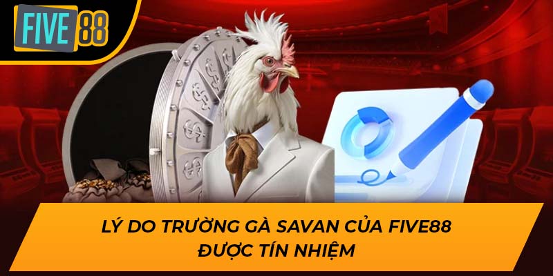 Khám Phá Thế Giới Đặc Sắc Của Trường Gà Savan tại Five88 2 Lý do trường gà Savan của Five88 được tín nhiệm